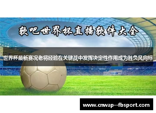 世界杯最新赛况老将经验在关键战中发挥决定性作用成为胜负风向标